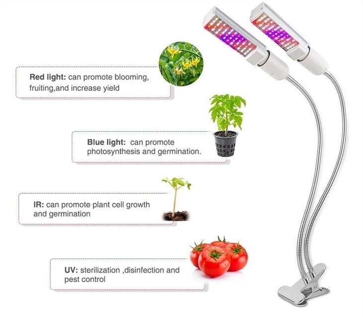 Led Grow Light